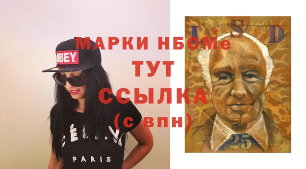 индика Аркадак