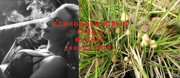 спиды Арсеньев