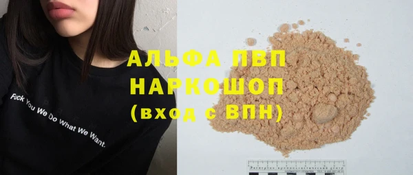 индика Аркадак