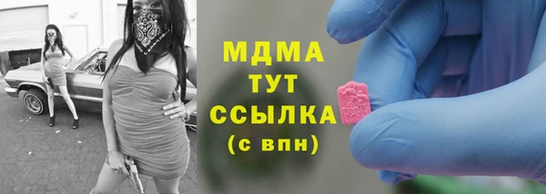 индика Аркадак