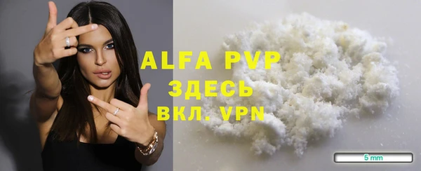 индика Аркадак
