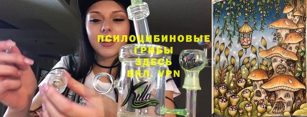а пвп мука Алзамай