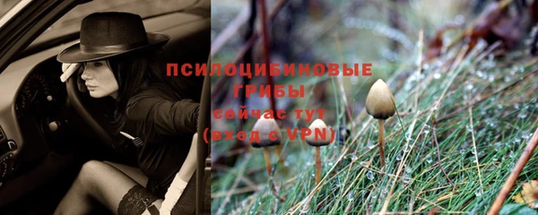 спиды Арсеньев