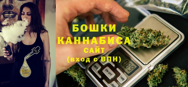 индика Аркадак