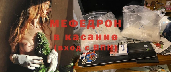 индика Аркадак