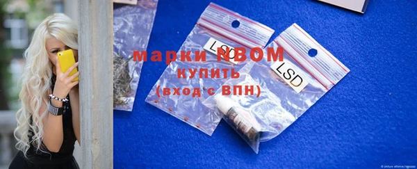 индика Аркадак