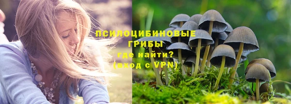 индика Аркадак