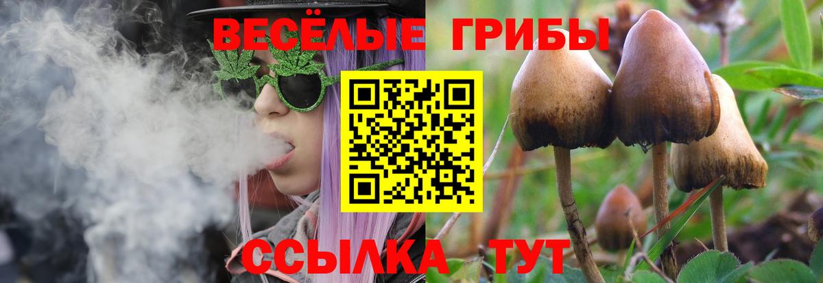 Кемерово  Псилоцибиновые грибы Psilocybe  Псилоцибиновые грибы Psilocybine cubensis  Вход с VPN 